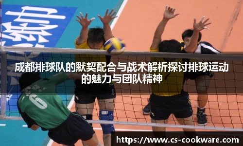 成都排球队的默契配合与战术解析探讨排球运动的魅力与团队精神