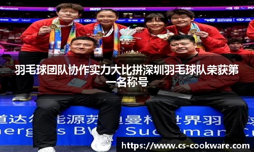 羽毛球团队协作实力大比拼深圳羽毛球队荣获第一名称号